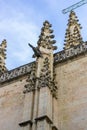 Exterior of the cathedral with pinnacles and gothic vaults, City