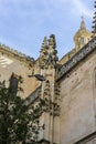 Exterior of the cathedral with pinnacles and gothic vaults, City