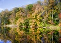 Trees on shore of Lake Surprise