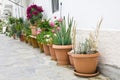 Exterior decoration of flowers and pots in greek style Royalty Free Stock Photo