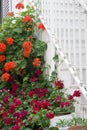 Exterior decoration of flowers and pots in greek style Royalty Free Stock Photo