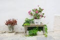 Exterior decoration of flowers and pots in greek style Royalty Free Stock Photo