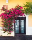 Exterior door covered in flowering vines on yellow building