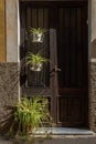 Exterior door of a house decorated with plants Royalty Free Stock Photo