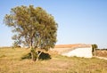 Exterior of Etruscan tomb Royalty Free Stock Photo