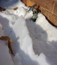 Faucet Buried in Snow, Frozen Pipes Royalty Free Stock Photo