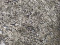 Exterior Flooring Texture - Very Detailed and Grunge Pattern
