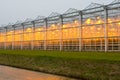 commercial greenhouse Royalty Free Stock Photo
