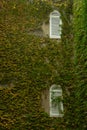 Exterior of a house with foliage on wall, window covered with ivy. Old town in heart of France Royalty Free Stock Photo