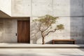 Exterior of a minimalist private house made of concrete with a wooden front door. Design of a modern building.