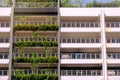 Exterior of modern multi-storey carpark building structure, with lush green plants grown on the left . Architectural shot on Royalty Free Stock Photo
