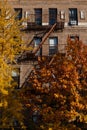 Generic Old Brick Apartment Building with Fire Escapes and Colorful Trees during Autumn in Long Island City Queens New York Royalty Free Stock Photo