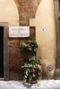 Exterior of an old house in Lucca Royalty Free Stock Photo
