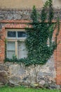 Exterior of an old stone and brick house with vintage window frame, covered with creeper plant Royalty Free Stock Photo