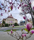 Exterior of Opera House building seen through magnolia flowers, in the city center of Graz, Steiermark region, Austria. Selective