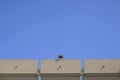 Exterior security camera on the roof buidling over blue sky background Royalty Free Stock Photo