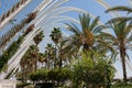 Exterior Structure of the Umbracle Modern Building with its greenery in Valencia, Spain