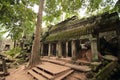 Ta Prohm temple ruins, Angkor, Cambodia