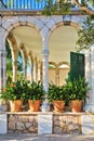 Exterior of the terrace of an old building with columns, arches and pots with plants in the sunlight. Spain