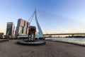 Exterior view of the Erasmus Bridge at sunset and the Maas Royalty Free Stock Photo