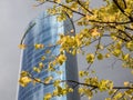 Exterior View Of The Iberdrola Tower with autumn branch of yellow leaves in Bilbao , Spain