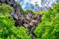 Exterior view of Lake Cave, Western Australia Royalty Free Stock Photo