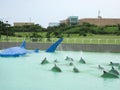 Exterior view of the National Museum of Marine Biology & Aquarium