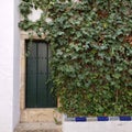 Doorway, wall, Ivey plants at the Alcazar in Seville Spain