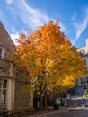 University of Pennsylvania Royalty Free Stock Photo