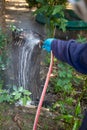 exterminate termite control company employee is using termite sprayer at customer's house and searching for termite nests to