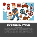 Extermination or pest control service and sanitary domestic disinfection vector flat design poster.