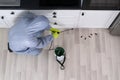 Exterminator Spraying Pesticide In Kitchen