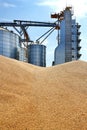 External construction, storage and drying of grain, wheat, corn, soybeans on the background of granaries Royalty Free Stock Photo