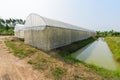 External side of big greenhouses