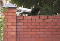 An external surveillance camera over a brick fence of private property. Security systems security, video surveillance. Royalty Free Stock Photo