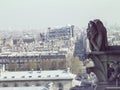 External view Notre Dame de Paris