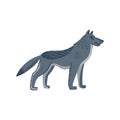 Extinct animals. Dire wolf. Prehistoric extinct american wolfl. Flat style vector illustration isolated on white Royalty Free Stock Photo