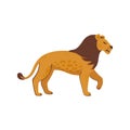 Extinct animals. Panthera atrox. Prehistoric extinct american Lion. Flat style vector illustration isolated on white
