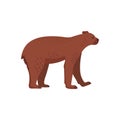Extinct animals. Short-faced bear. Prehistoric extinct american bear. Flat style vector illustration isolated on white Royalty Free Stock Photo