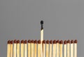 Extinct matches. Burning match among others on isolated background. Difference and uniqueness concept Royalty Free Stock Photo