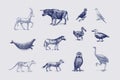 Extinct species. Wild mammal animals and birds. Dodo, Moa, Tasmanian wolf, Quagga. Aurochs. Blue antelope. Hand drawn