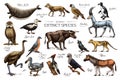 Extinct species. Wild mammal animals and birds. Dodo, Moa, Tasmanian wolf, Quagga. Aurochs. Blue antelope. Hand drawn
