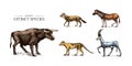 Extinct species. Wild mammal animals and birds. Tasmanian wolf, Quagga. Aurochs. Blue antelope. Steller's sea cow