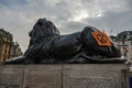 Extinction Rebellion flag on Lion, Trafalgar Square