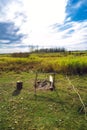 Extinguished bonfire in a field in a green meadow