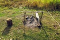 Extinguished bonfire in a field in a green meadow