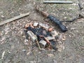 Extinguished campfire on a ground close-up Royalty Free Stock Photo
