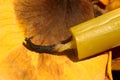 Extinguished church candle on a dry yellow rose petal Royalty Free Stock Photo