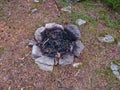 Extinguished fire place in the mountain pine forests