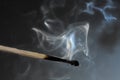 Extinguished match Royalty Free Stock Photo